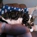 Sandra L Leppert-Sybel - Facebook