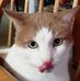 Sandra Lesher - Facebook
