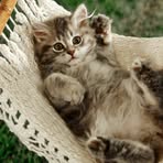 Sandra Leto - Facebook