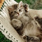Sandra Leto - @sandra.leto.169 - Instagram