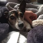 Sandra Leyland - Facebook