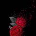 Sandra Lizeth - Facebook