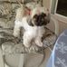 Sandra Libby - Facebook