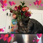 Sandra Libby Doucette - @libby2002 - Instagram
