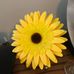 Sandra Licata - Facebook