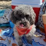 Sandra Lidia Marins Costa - @san_marins16 - Instagram