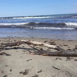 Sandra Liedtke - @sandra.liedtke79 - Instagram
