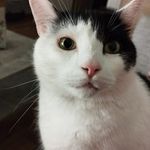 Sandra Liedtke - @blue_angel1402 - Instagram
