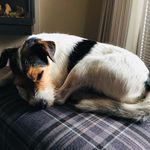 Sandra Liedtke - @liedtke610 - Instagram