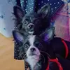 Sandra Liese - @sandra.liese2 - TikTok