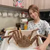 sandraliles - @sandraliles - TikTok