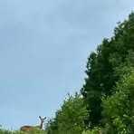 Sandra Limbach - Facebook