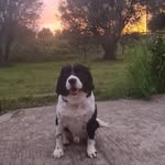 Sandra Richard Lindeman - @sandra_richar_lindeman - Instagram