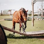 Sandra - @sandra.lindemann.56 - Instagram