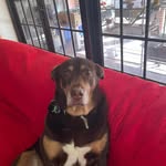 Sandra Sigler Lindgren - @sandra.lindgren.5 - Instagram