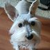 Sandy Lindley - Facebook