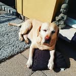 Sandra Heitzmann - @sandraline___ - Instagram
