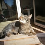Sandra Linke - @linke8833 - Instagram