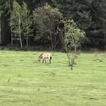 Sandra Linke - @sandra.linke29 - Instagram