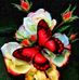 Sandra Linke - Facebook