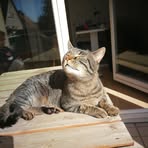 Sandra Linke - Facebook