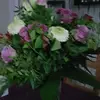 SaLiMiSa - @sandra.lipinski19 - TikTok