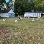 Sandy Lipinski - Facebook
