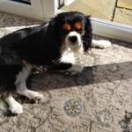 Sandra Lister - @sandralister99 - Instagram