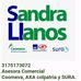 Sandra llanos e hijos  - Facebook