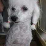 Sandra Lobos - @lobos3297 - Instagram