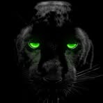 Sandra Lobos - Facebook
