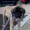 Sandra Lanning Loder - @sandra.lanning.lo - TikTok
