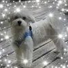 Sandra Loder - @sandra.loder - TikTok