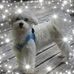 Sandra Loder - Facebook
