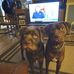 Sandra Looney - Facebook