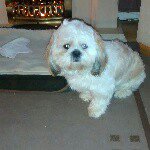 sandra - @sandra.looney001 - Instagram
