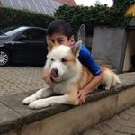 Sandra Lotz - @lotz1914 - Instagram