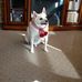 Sandra Lotz - Facebook