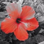 Sandra Lovelace - @lovelace6508 - Instagram
