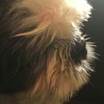Sandra Lovelace - @slovelace076 - Instagram