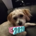 Sandra Lowe - @sandra.mcdermott.39 - Instagram
