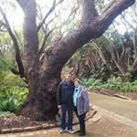 Sandra Lowe - @lowe1327 - Instagram