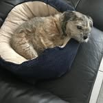 Sandra Lowe - @s.l.lowe2 - Instagram