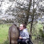 Sandra Lowe - @slowe2606 - Instagram