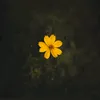 用户9521506244783 - @sandraloy3 - TikTok