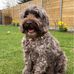 Sandra Van Loy - Facebook