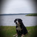 Sandra Lucht - @nana230180 - Instagram