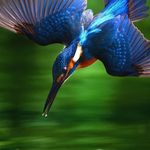 Sandra Lücke - @lucke2060 - Instagram