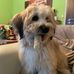 Sandra Lucke - Facebook