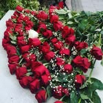 Sandralucy@gmail.com - @sandralucygmail.com5 - Instagram